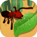 蚂蚁进化3d2022