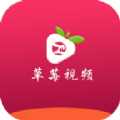 草莓视频app免费软件官网下载