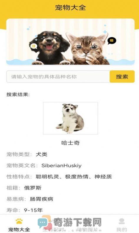 猫狗宠物大全app安卓版图片1