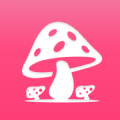 蘑菇赏安卓版