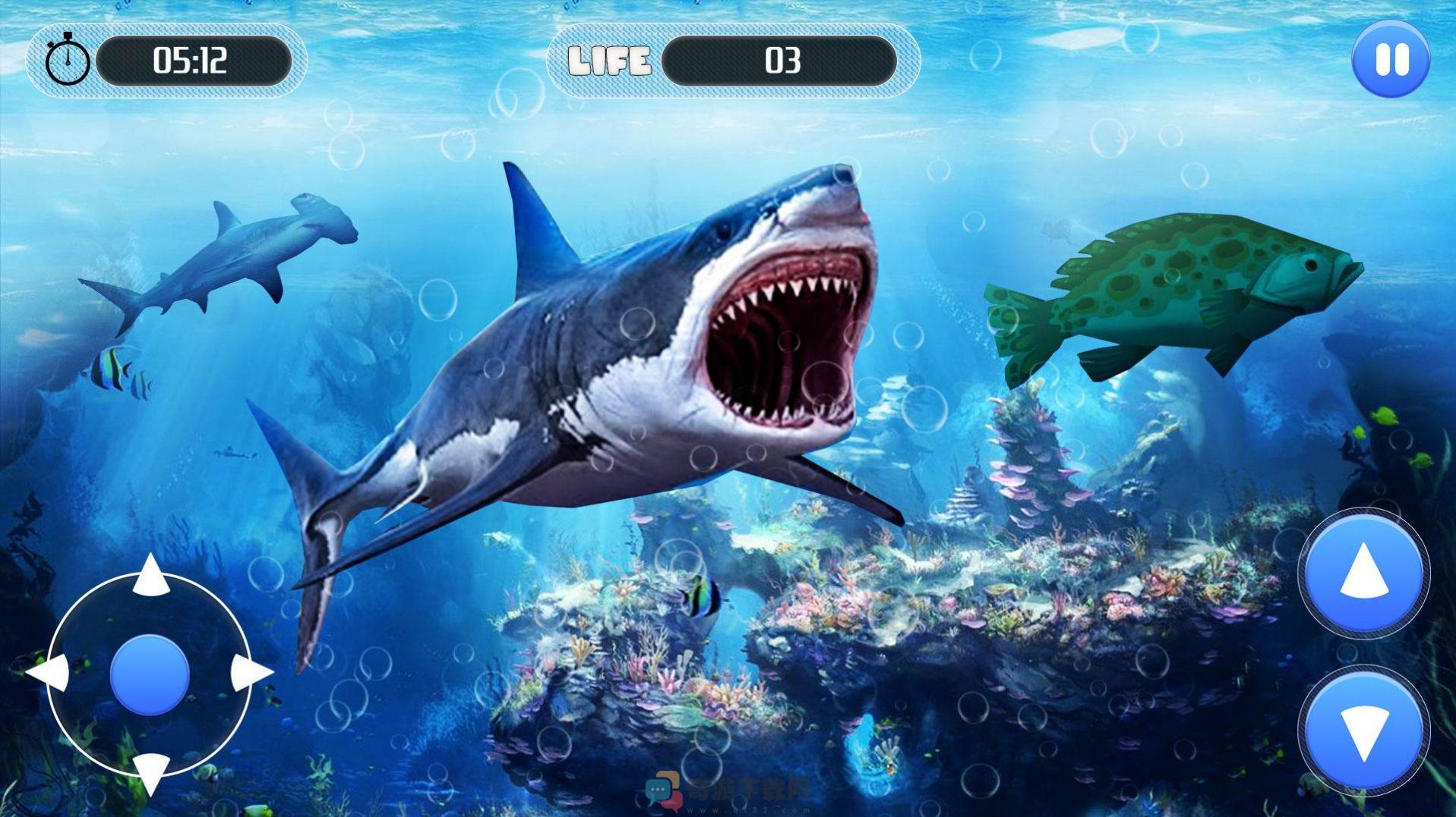 大白鲨生存模拟器游戏中文版（White Shark Attack Mission 3D）图片1