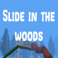slide in the woods