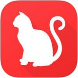 云养猫app爱情公寓5推荐