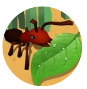 蚂蚁进化3d破解版