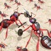 蚂蚁战争