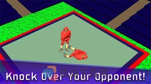 相扑选手3D中文版