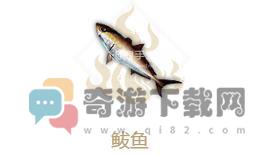 妄想山海鲅鱼怎么样 妄想山海鲅鱼属性介绍