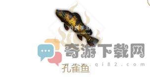 妄想山海孔雀鱼怎么样 妄想山海孔雀鱼属性介绍