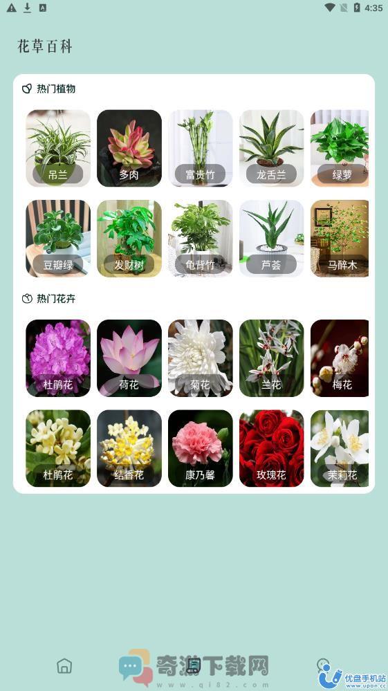 小黄养花拍照识植物app最新版下载图片1