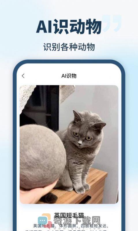 AI智能助手app安卓版图片5