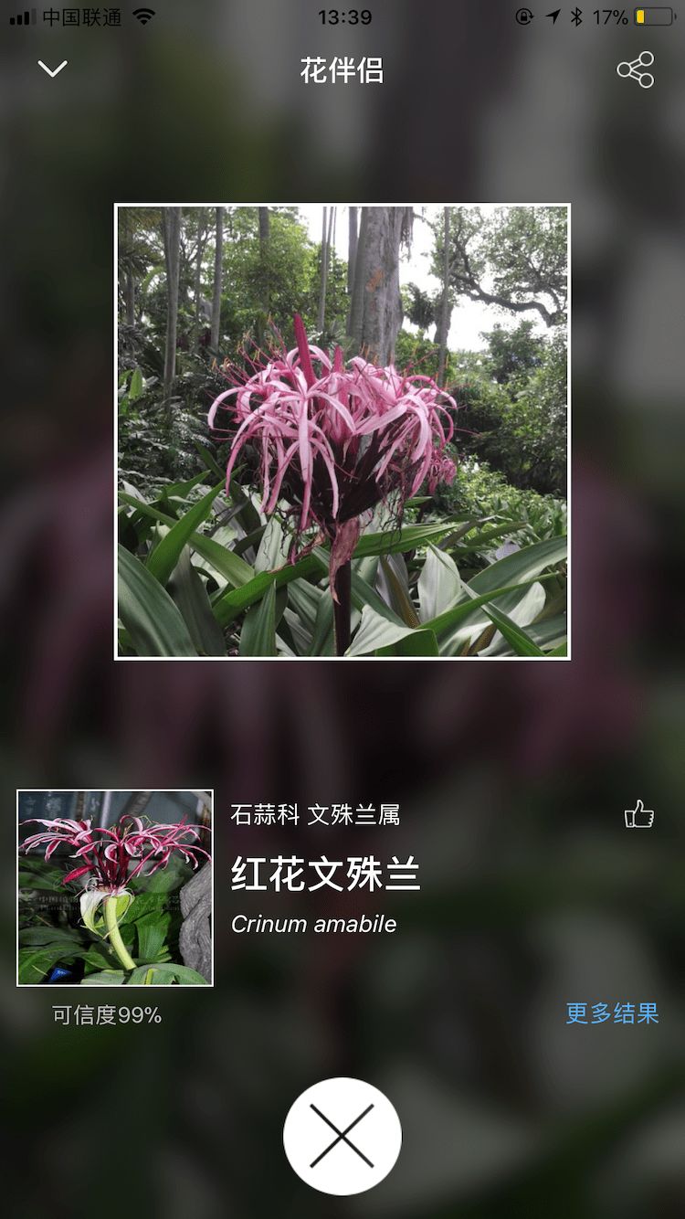 植物识别软件哪个最好？十大植物识别app推荐[多图]图片3