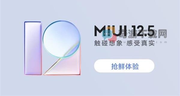 MIUI12虚拟身份证怎么开启 miui12开发版公测答题答案